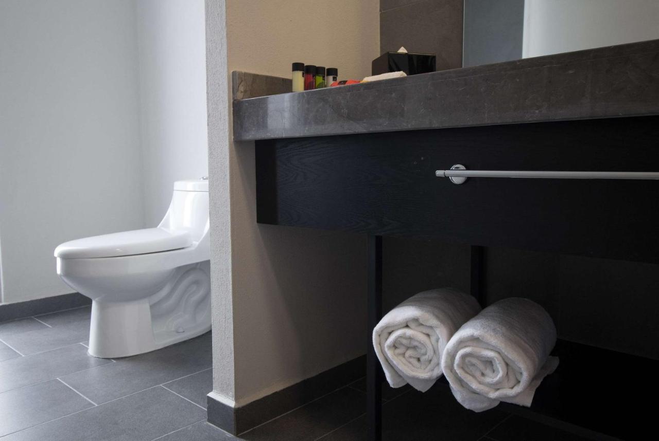 Tryp By Wyndham San Luis Potosi Hotel & Suites Extérieur photo